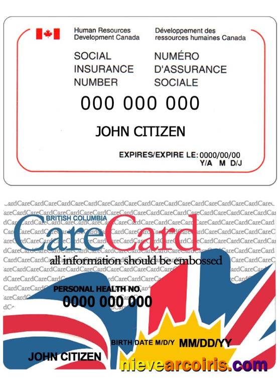 Canada social insurance number (SIN) card